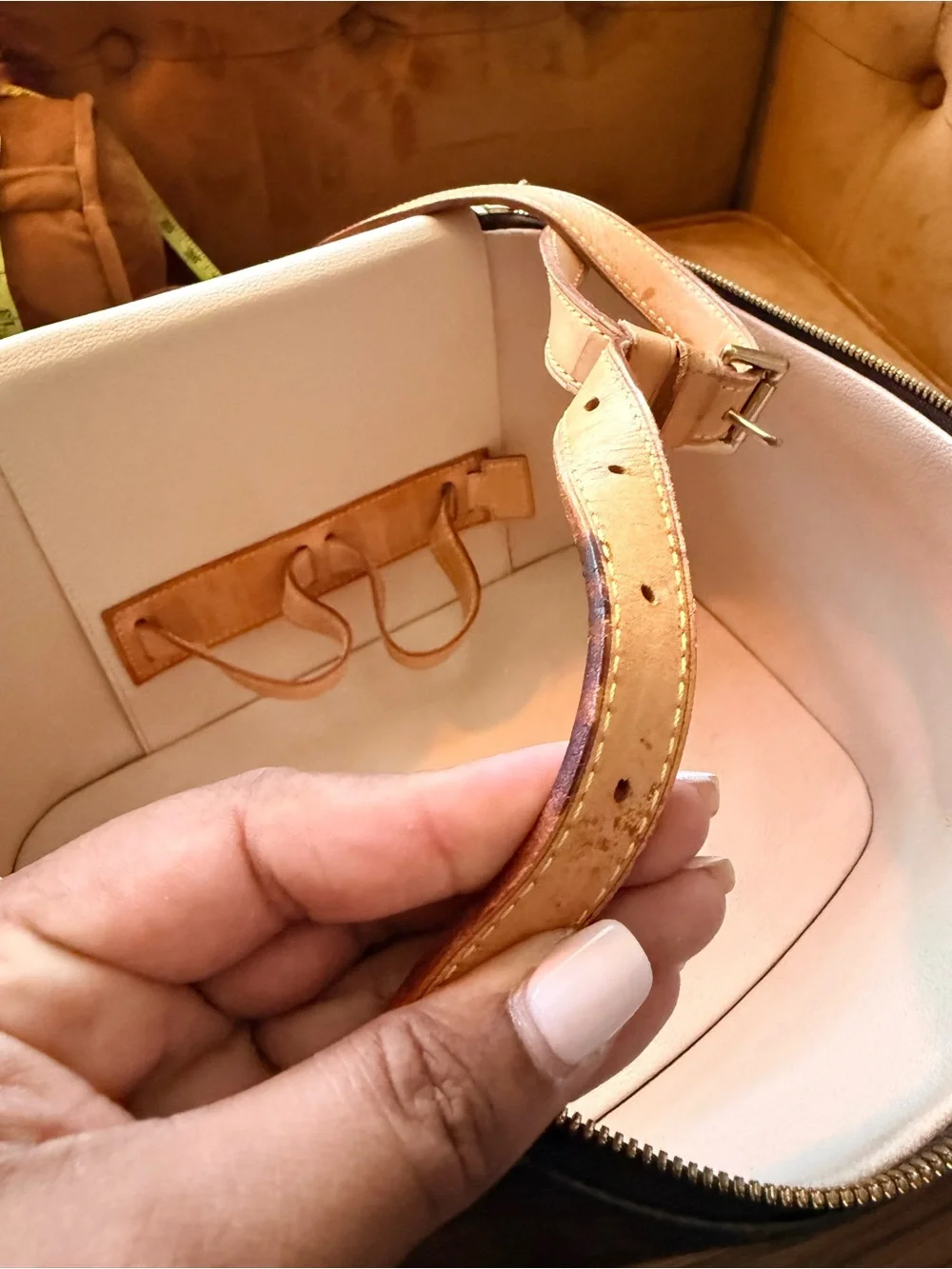 Louis Vuitton Case